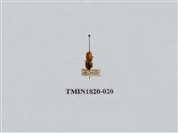 藏品(蔬菜害蟲)的圖片